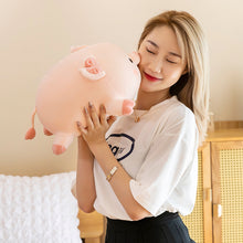 Load image into Gallery viewer, Squishy piglet